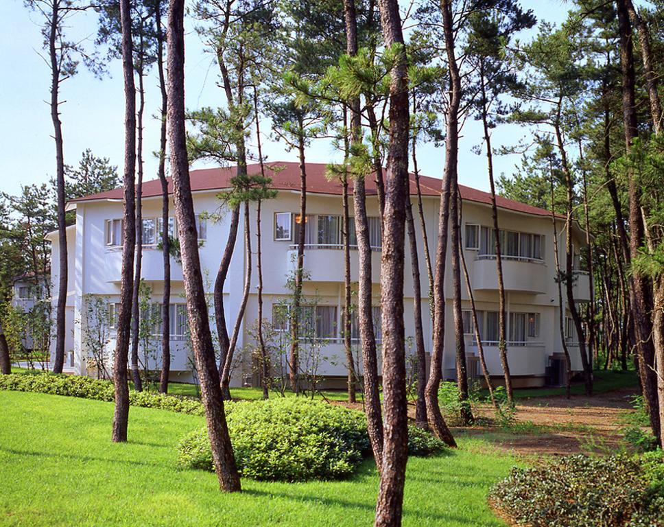 Cottage Himuka Миядзаки Стая снимка