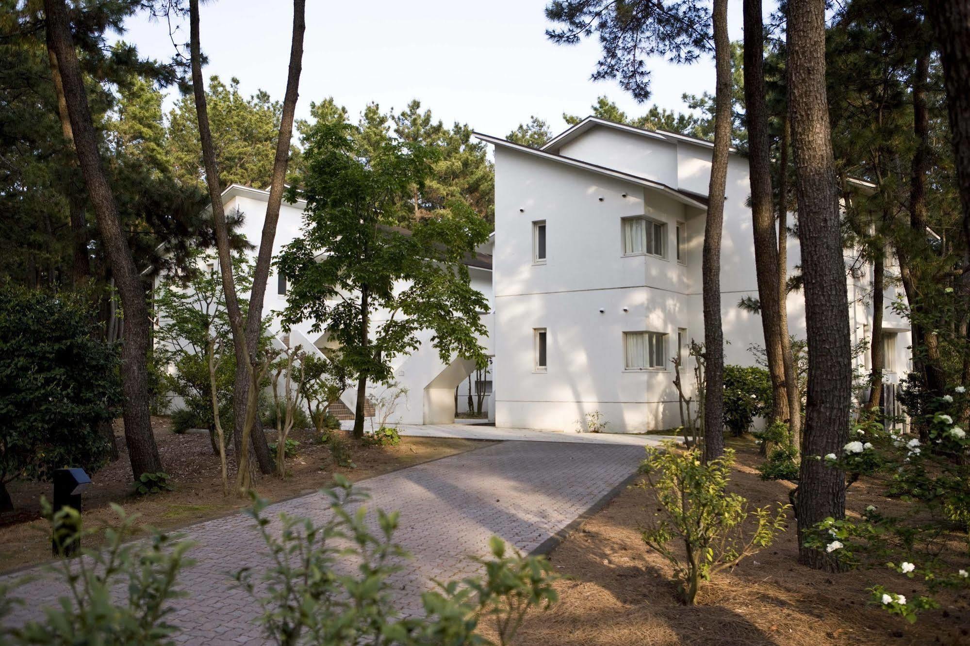 Cottage Himuka Миядзаки Екстериор снимка